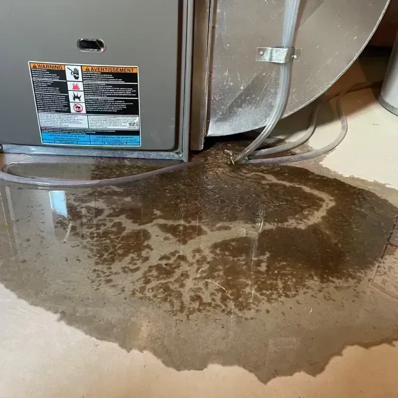 Appliance Leak Cleanup in Kingston, OH